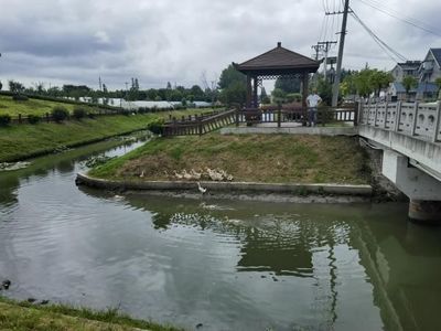 宝山这里多措并举推进水环境治理,打造美丽乡村幸福河